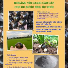 Khoáng vôi Dolomite cho ốc