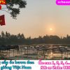 Ốc Bươu Đen Giống Ở Đồng Nai
