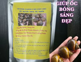 VÔI SUPPER CANXI CHO ỐC BƯƠU ĐEN, ỐC NHỒI