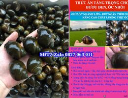 Thức ăn Công Nghiệp Cho Ốc Bươu Đen, Ốc Nhồi